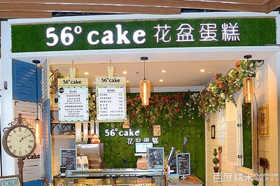 56°cake花盆蛋糕